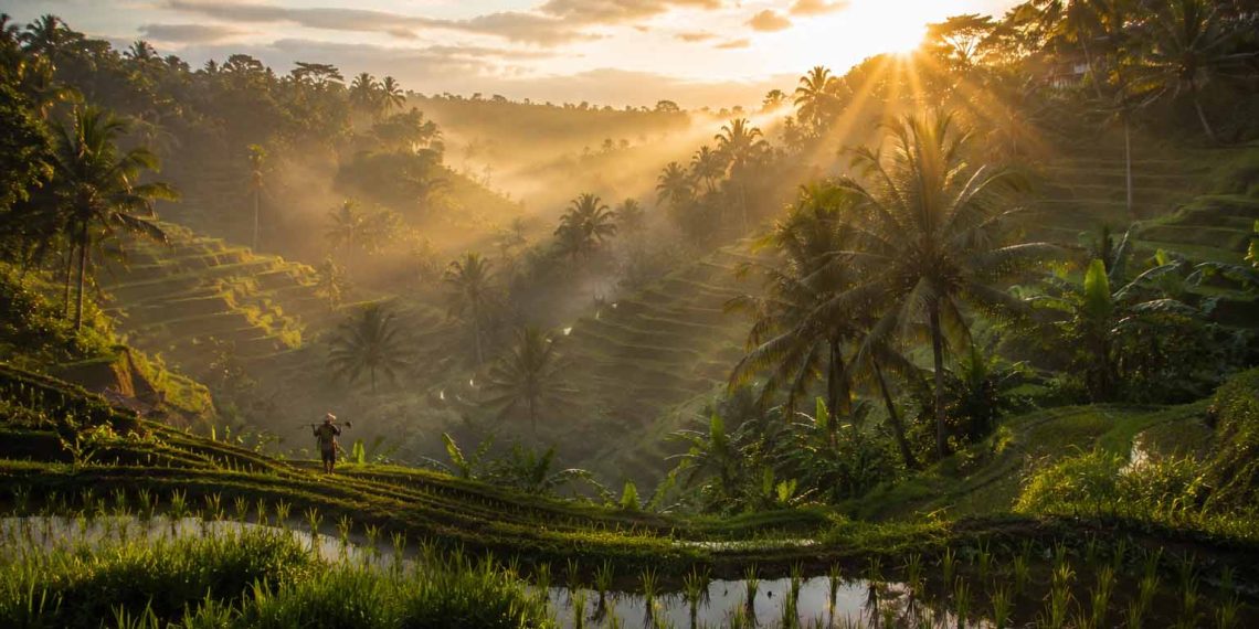 Mon voyage de rêve à Bali : budget détaillé, itinéraire et conseils (Guide 2026) 1 Lever de soleil doré sur les rizières en terrasses de Tegallalang à Ubud, Bali.