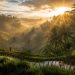 Mon voyage de rêve à Bali : budget détaillé, itinéraire et conseils (Guide 2026) 6 Lever de soleil doré sur les rizières en terrasses de Tegallalang à Ubud, Bali.