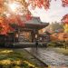 Le Japon en automne : pourquoi je repartirais à cette saison 10 japon-automne-kyoto