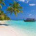 Plage paradisiaque de sable blanc et lagon turquoise sur l'île locale de Dhiffushi aux Maldives.