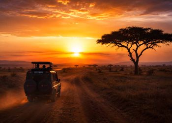 Mon safari en Tanzanie : combien cela m'a réellement coûté ? (Budget détaillé, itinéraire et conseils 2026) 9 Véhicule 4x4 de safari roulant sur une piste du Serengeti au lever du soleil en Tanzanie, illustration du budget voyage.