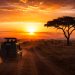 Mon safari en Tanzanie : combien cela m'a réellement coûté ? (Budget détaillé, itinéraire et conseils 2026) 6 Véhicule 4x4 de safari roulant sur une piste du Serengeti au lever du soleil en Tanzanie, illustration du budget voyage.