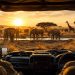 Ce que personne ne raconte sur un safari en Afrique 9 Véhicule de safari 4x4 ouvert face au lever de soleil dans la savane du Serengeti